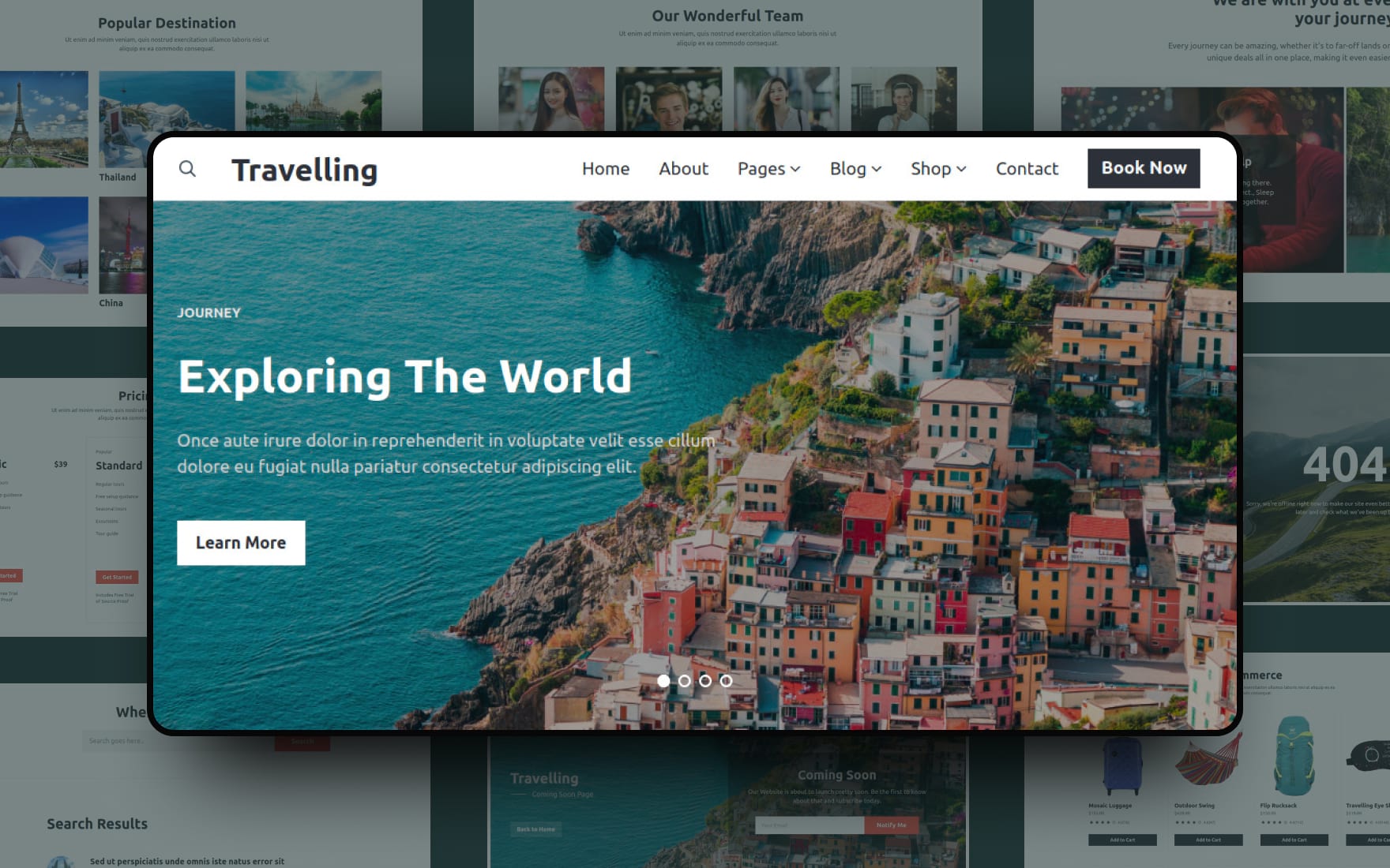 Travel Websites